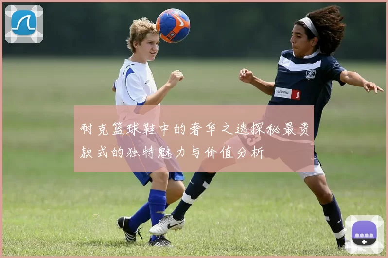 耐克篮球鞋中的奢华之选探秘最贵款式的独特魅力与价值分析