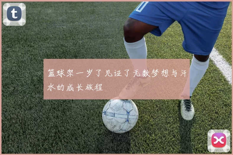 篮球架一岁了见证了无数梦想与汗水的成长旅程