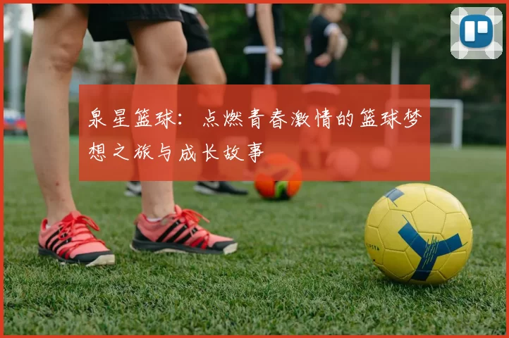 泉星篮球：点燃青春激情的篮球梦想之旅与成长故事